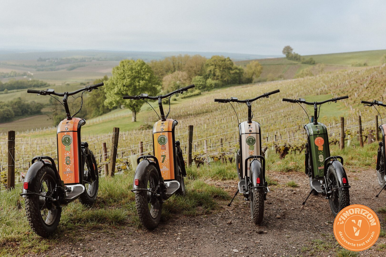 Vinorizon - Location de trottinettes électriques