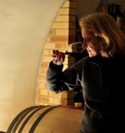 Vinitour