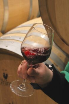 03 Oenotourisme © Domaine Henri Bourgeois