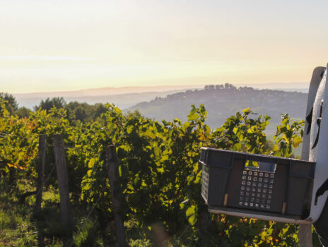 12 Oenotourisme © Domaine Henri Bourgeois