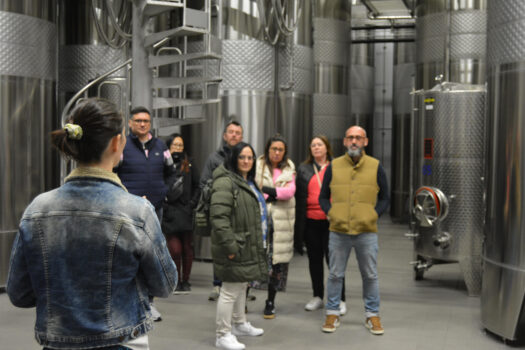 Domaine eric louis