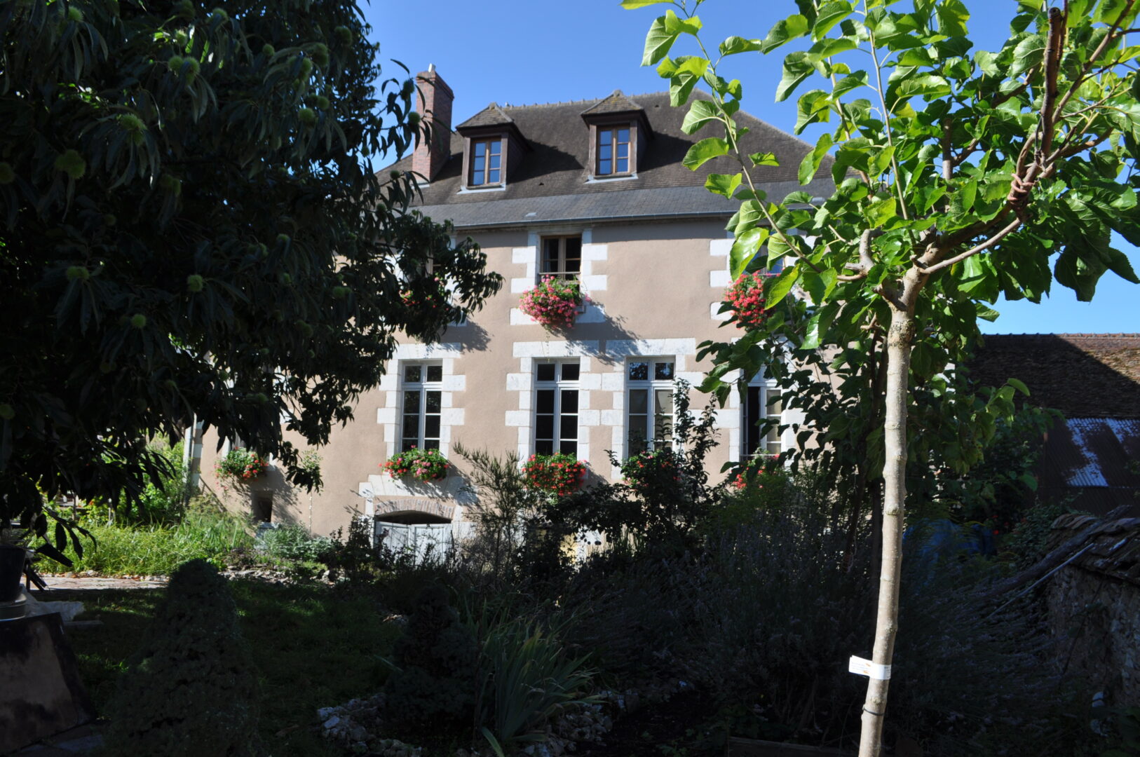 Le Cep en Sancerrois