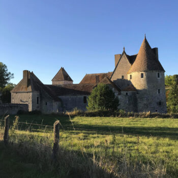 buranlure_champs_arriere_chateau_été_2022